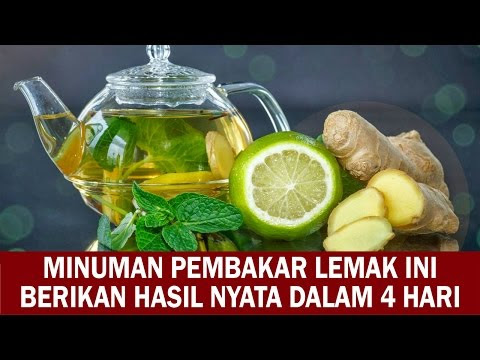 VIDEO : minuman pembakar lemak ini terbukti nyata dalam 4 hari - video ini berisi tentangvideo ini berisi tentangminumanpembakar lemak ini terbukti nyata dalam 4 hari bahan: • 8 gelas air • 1 sendok makan jahe parut ...