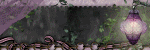 DNSCRAPS