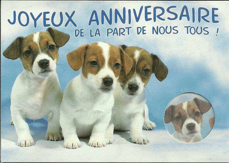 Carte D Anniversaire Mon Chien