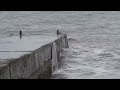 Black Sea (Crimea, Alushta, October 2013)