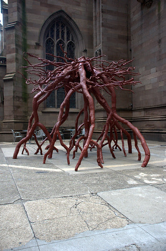 Trinity Root