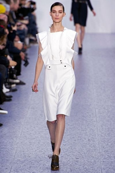  photo chloe-fw13-15sv.jpg
