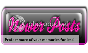 Newer Posts