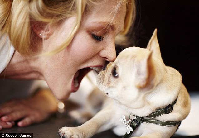 Star of the show: Little Louie is certainly the centre of attention