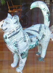 Catskill cat