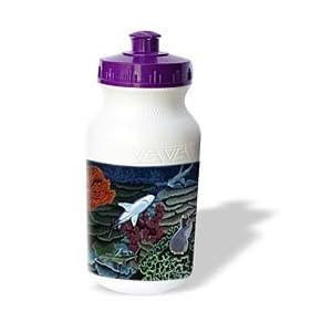 Steve Shachter Art - REEF SHARKS - Water Bottles