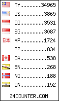 visitors by country counter