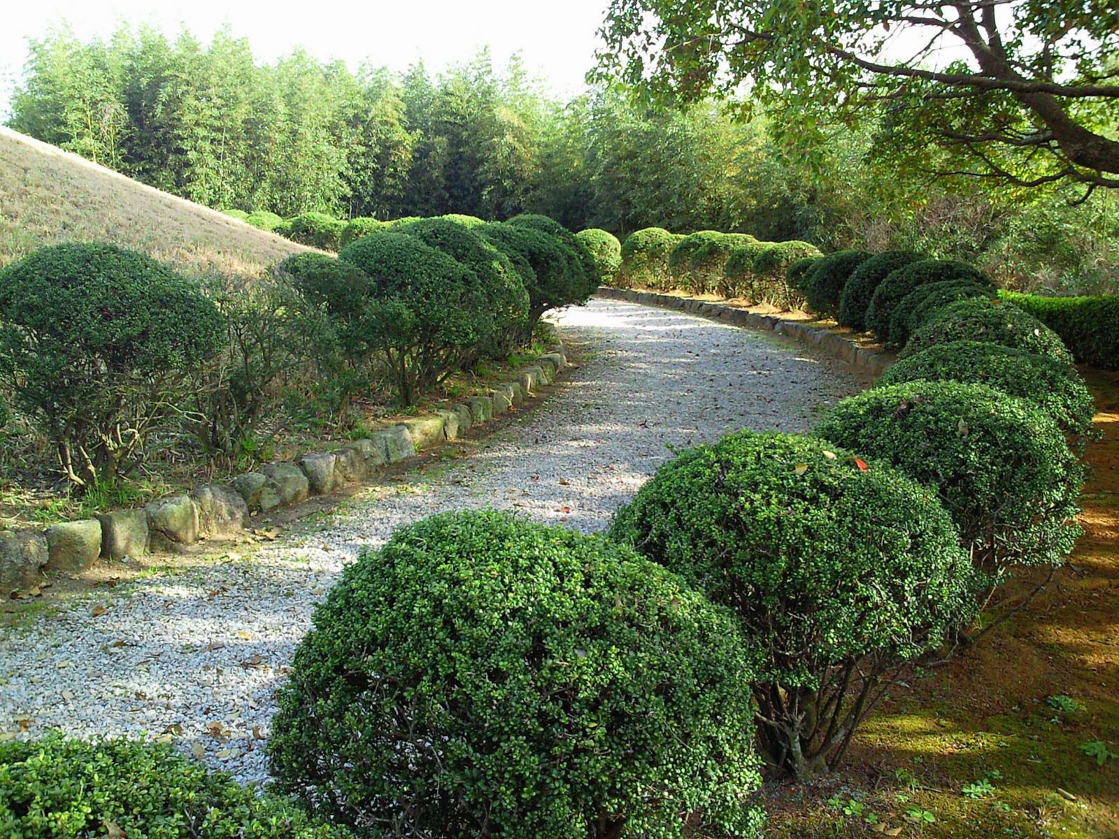 日本庭園 和風建築を中心にお気に入りの和の空間 史跡と庭園