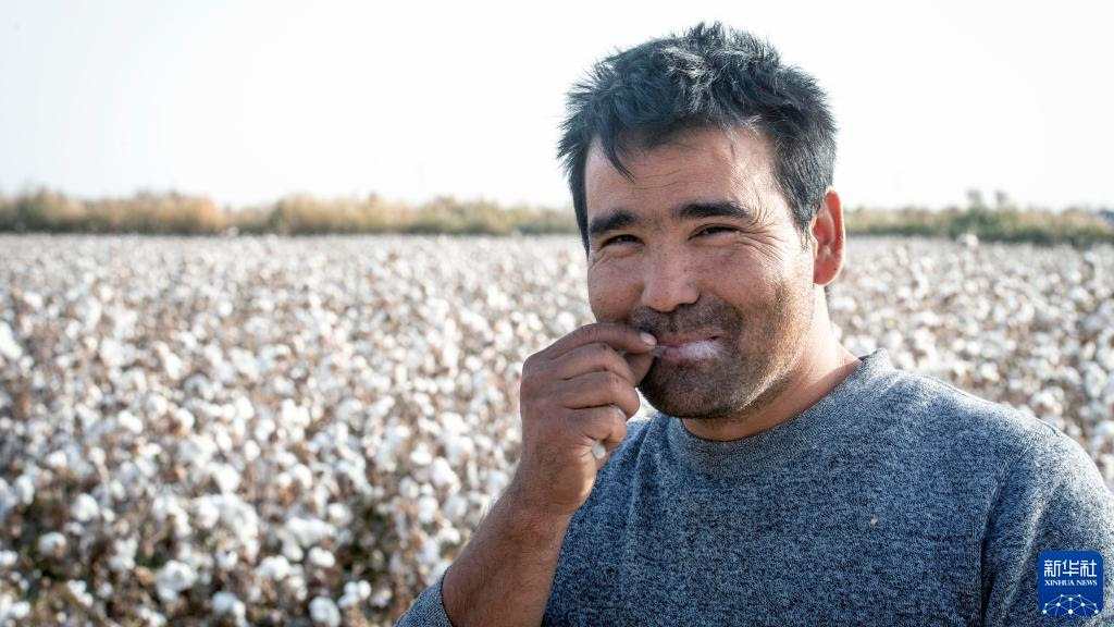 綿花収穫で豊かになる艾買爾 艾則孜さん 新疆 中国網 日本語
