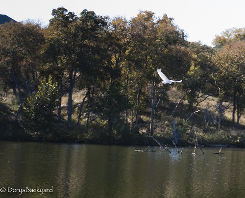 DBY 20121116