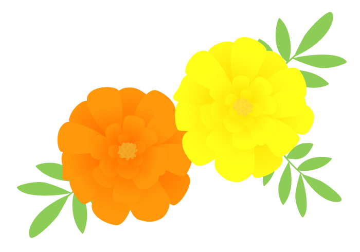マリーゴールドの花 かわいい無料のフリーイラスト素材集