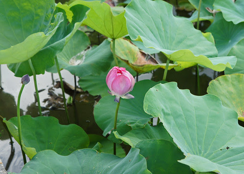 DSC02141