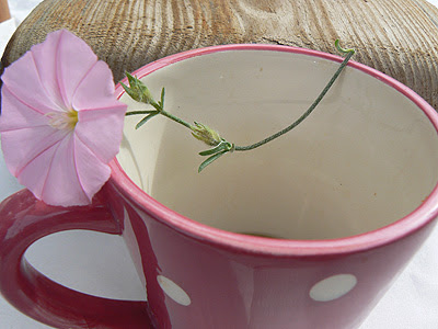 petit déjeuner fleuri.jpg