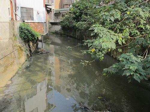 冷水坑溪