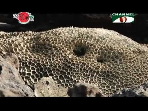 Saint Martin's Island: An attractive bangla documentary By Prokriti O Jibon