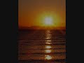 Sun Needs You