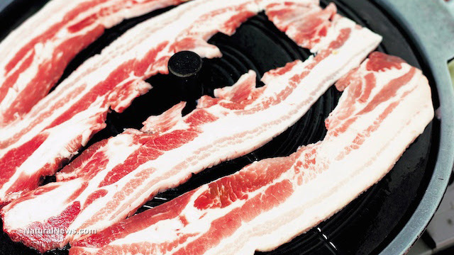 http://www.naturalnews.com/gallery/640/Food/Bacon-Strips-Pork-Pan.jpg