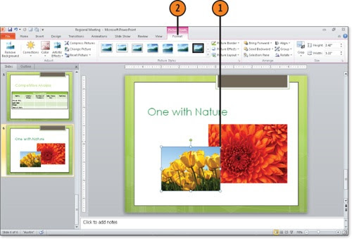 Microsoft PowerPoint 2010 : Grouping and Changing the ...
