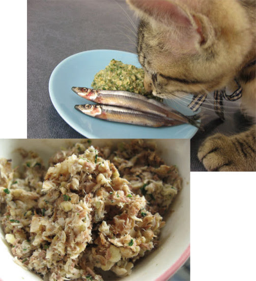 手作りごはん簡単レシピ 嵐山善兵衛の健康一番特集 犬猫の手作りペットフード食材 さかい企画
