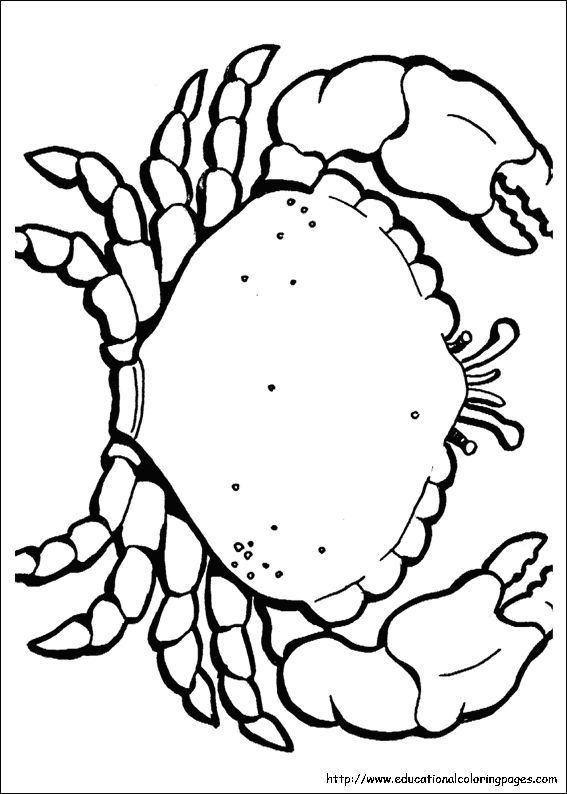 Ocean Free Coloring Pages