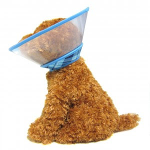 for surgery after best dogs cone Dogs with â Cats Couture Recovery Edge Zumi (for Soft Collar &