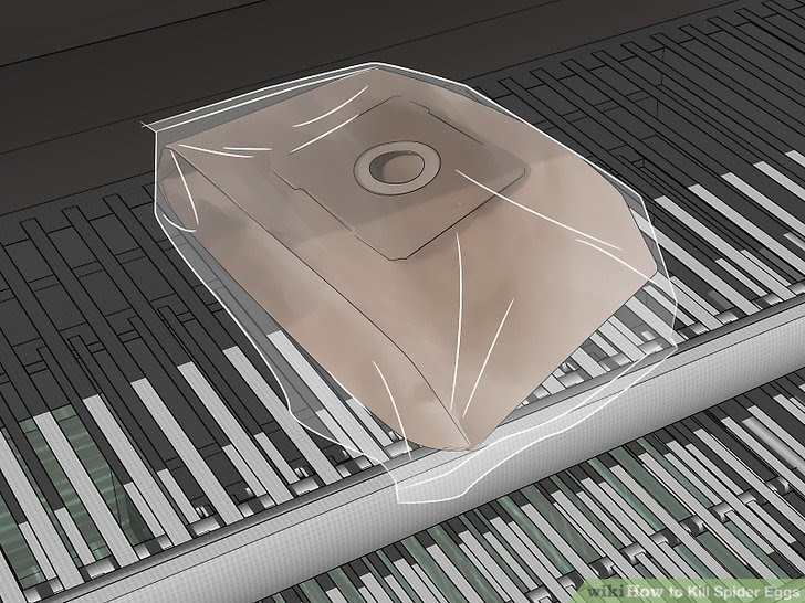 Kill Spider Eggs Step 6.jpg