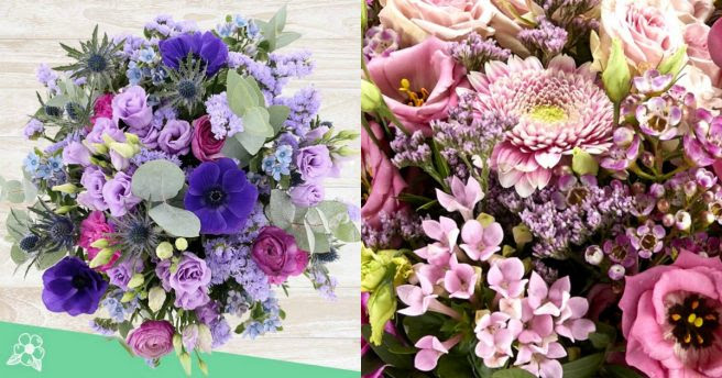Top 10 Des Meilleurs Sites Pour Acheter Des Fleurs En Ligne