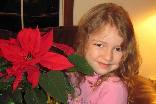 Autumn's Poinsetta