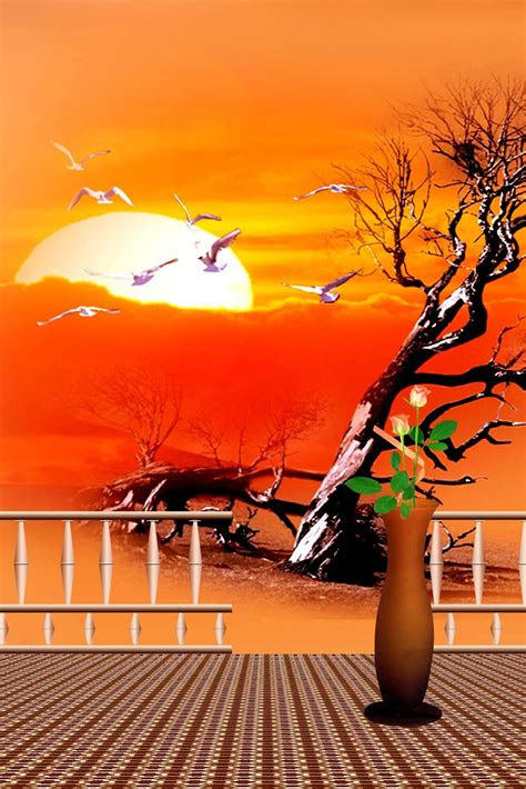 studio background  image   editing deenan