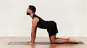 Get Flexy with Cat Cow Stretch: Animated Gif Guide to Improve Your Mobility and Flexibility