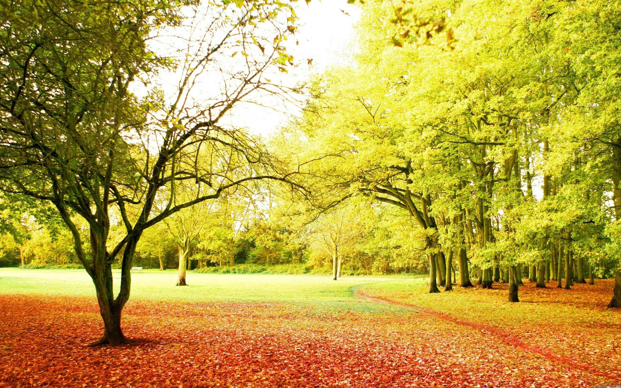 HD Nature Backgrounds  HD Wallpapers Pulse
