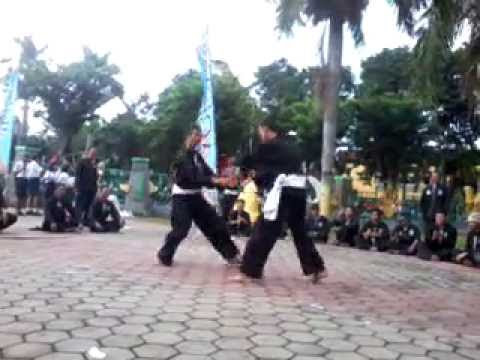 teknik dasar PSHT