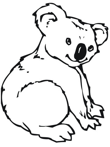 Download Cute Koala coloring page | SuperColoring.com