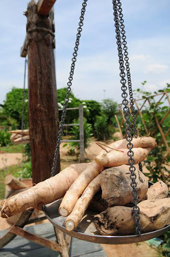 รูปภาพ