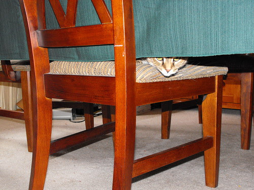 I see you!