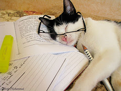 Study  >_<"