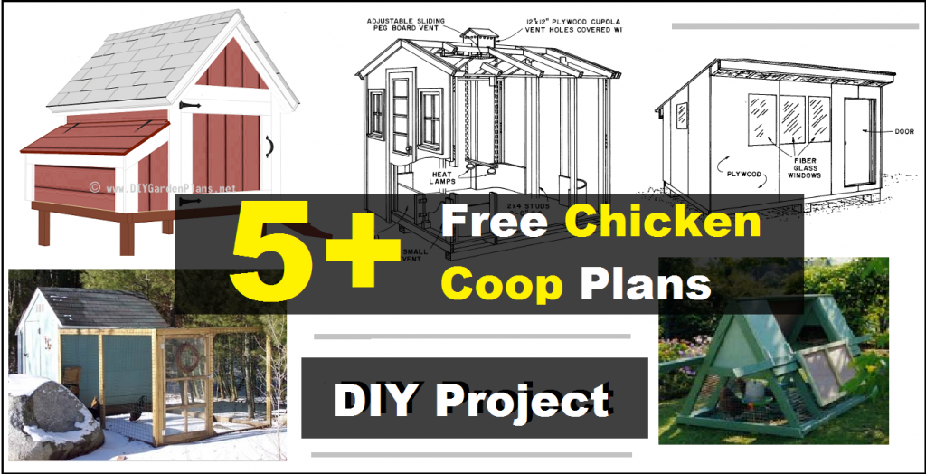 5+ Free Chicken Coop Plans - Construct 101