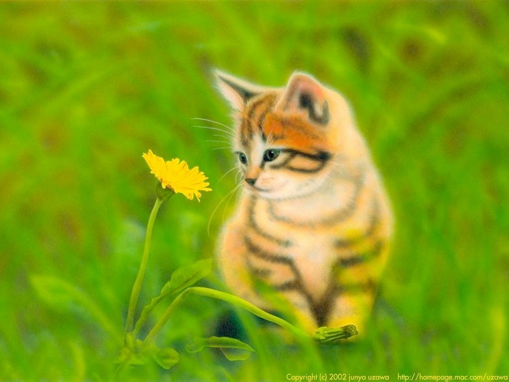 6月のデスクトップピクチャ 壁紙 Junya Blog 猫 犬 リアリズム絵画