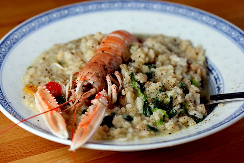 Langoustine with fregula