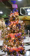 Festival of Trees 2007