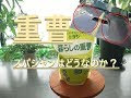 √ダウンロード 車 ボディ 水垢 重曹 297538-車 ボディ 水垢 重曹