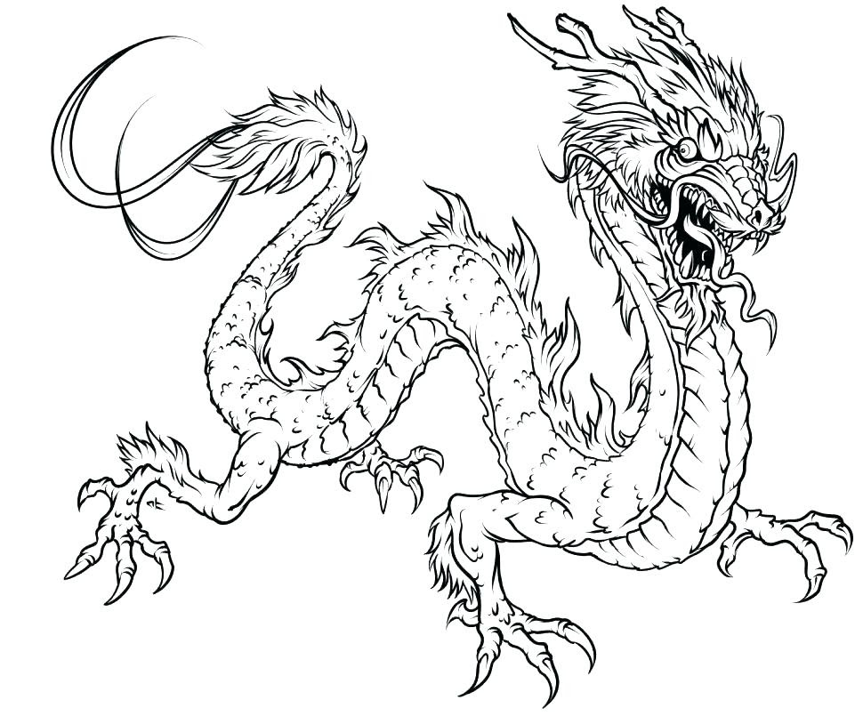Realistic Dragon Coloring Pages For Adults at GetDrawings ...