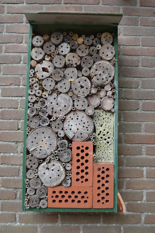 Can You Guess What This Structure Is? Can You Guess What This Structure Is?