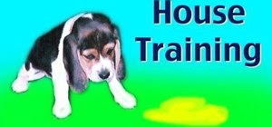 How to House train your new puppy or rescue dog « Dogs