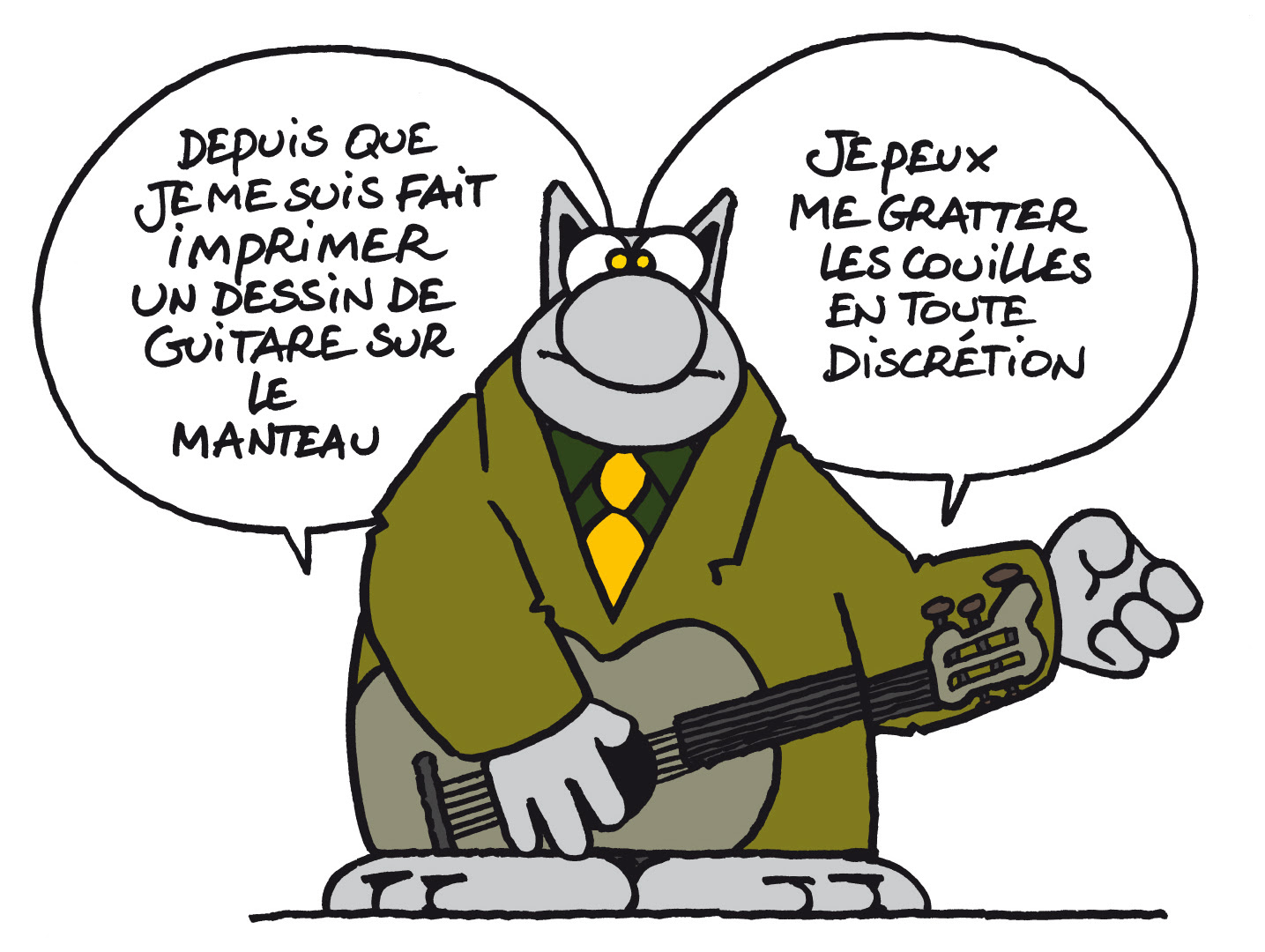 Le Chat Et La Guitare