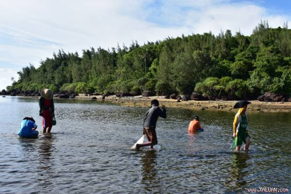  Các em thường tranh thủ 1-2 giờ đồng hồ buổi chiều khi nước rút để mò nghêu, sò… phụ giúp ba mẹ