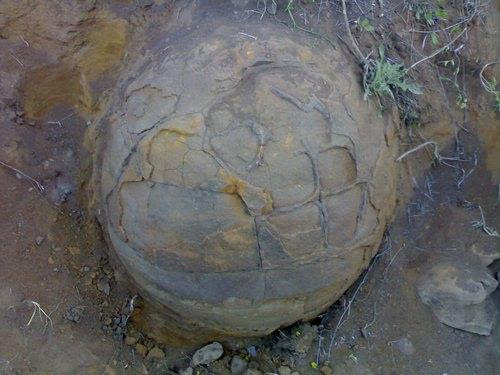 http://media.englishrussia.com/mysterious_finding/786efdde7a.jpg