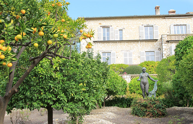 Biot13