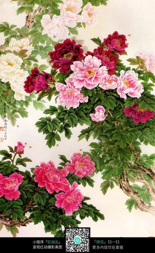 中国画牡丹的画家图片展示