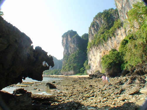 DSC01234